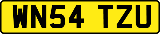 WN54TZU