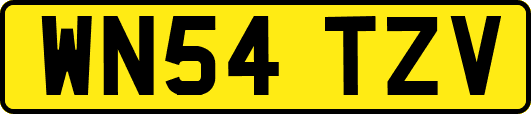 WN54TZV