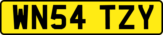 WN54TZY