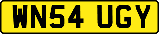 WN54UGY
