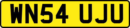 WN54UJU