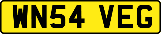 WN54VEG