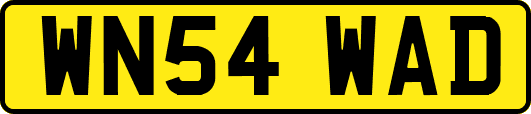 WN54WAD