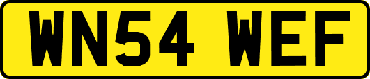 WN54WEF