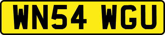 WN54WGU