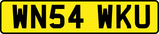 WN54WKU