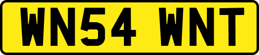 WN54WNT