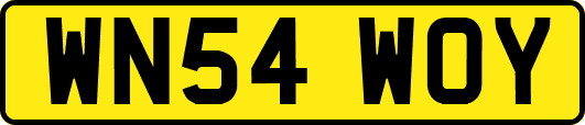 WN54WOY
