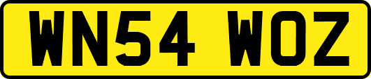 WN54WOZ