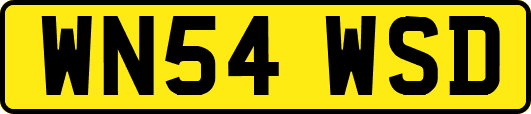 WN54WSD