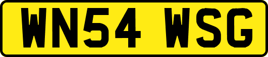 WN54WSG
