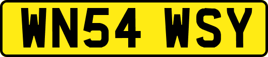 WN54WSY