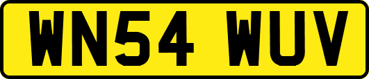 WN54WUV