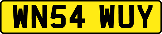 WN54WUY
