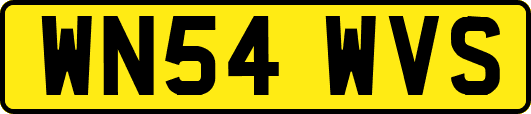 WN54WVS