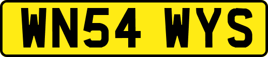 WN54WYS