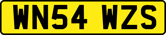 WN54WZS