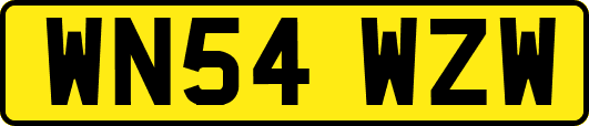 WN54WZW