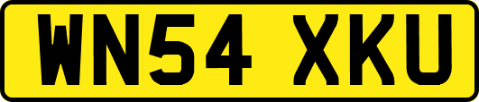 WN54XKU