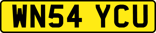 WN54YCU