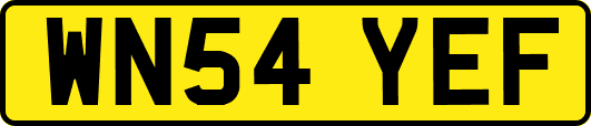 WN54YEF