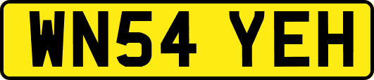 WN54YEH