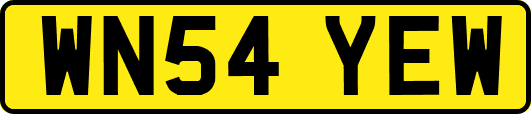 WN54YEW