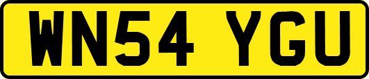 WN54YGU
