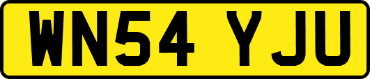 WN54YJU
