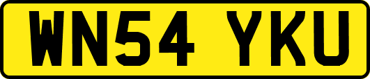 WN54YKU