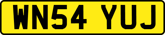 WN54YUJ