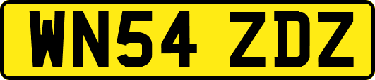 WN54ZDZ