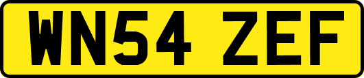 WN54ZEF