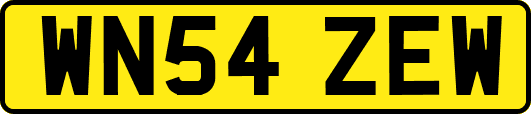 WN54ZEW