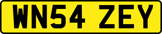 WN54ZEY