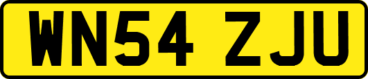 WN54ZJU