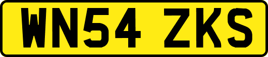 WN54ZKS