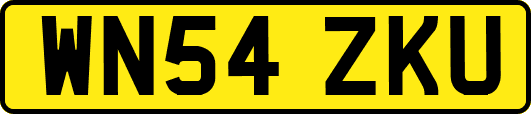 WN54ZKU