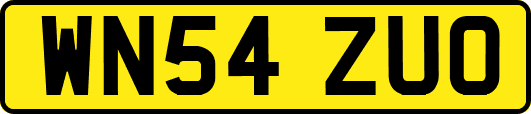 WN54ZUO