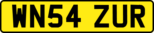 WN54ZUR
