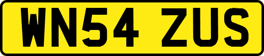 WN54ZUS