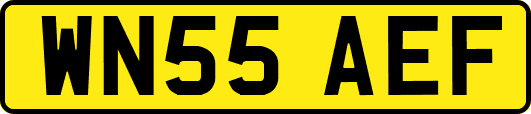 WN55AEF