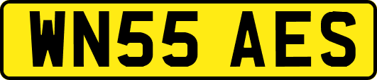 WN55AES