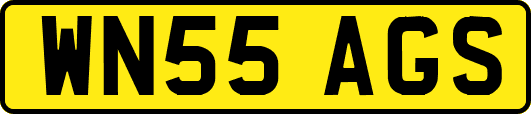 WN55AGS