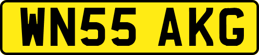 WN55AKG