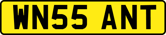 WN55ANT