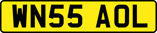 WN55AOL