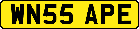 WN55APE