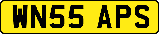 WN55APS