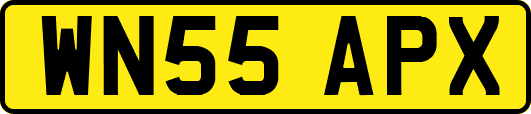 WN55APX